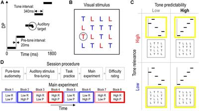 Effect of Auditory Predictability on the Human Peripheral Auditory System